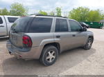 2006 Chevrolet Trailblazer Ls Gray vin: 1GNDT13S362100836