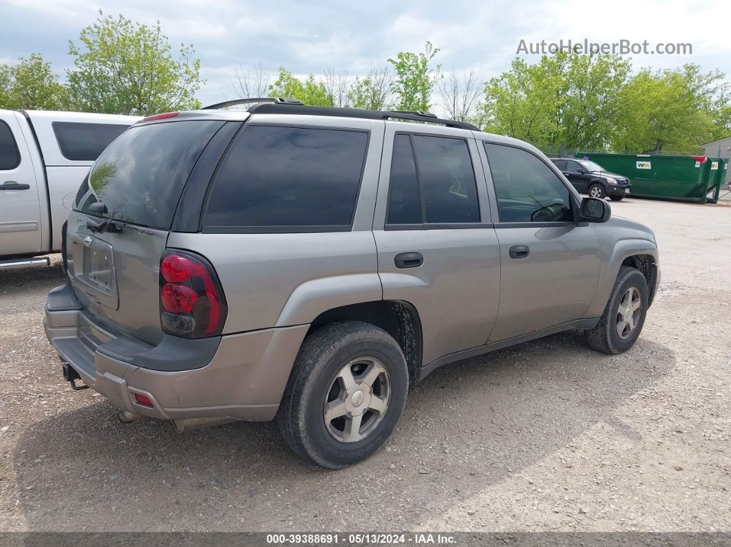 2006 Chevrolet Trailblazer Ls Gray vin: 1GNDT13S362100836