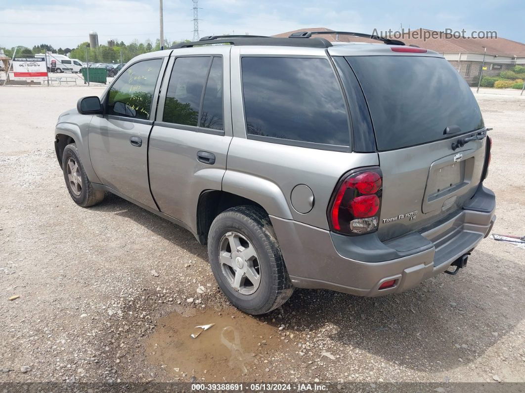 2006 Chevrolet Trailblazer Ls Gray vin: 1GNDT13S362100836