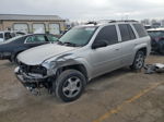 2006 Chevrolet Trailblazer Ls Silver vin: 1GNDT13S362155223