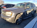 2006 Chevrolet Trailblazer Ls Tan vin: 1GNDT13S362218062