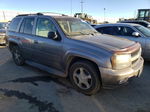 2006 Chevrolet Trailblazer Ls Tan vin: 1GNDT13S362218062