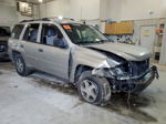 2006 Chevrolet Trailblazer Ls Золотой vin: 1GNDT13S362242085