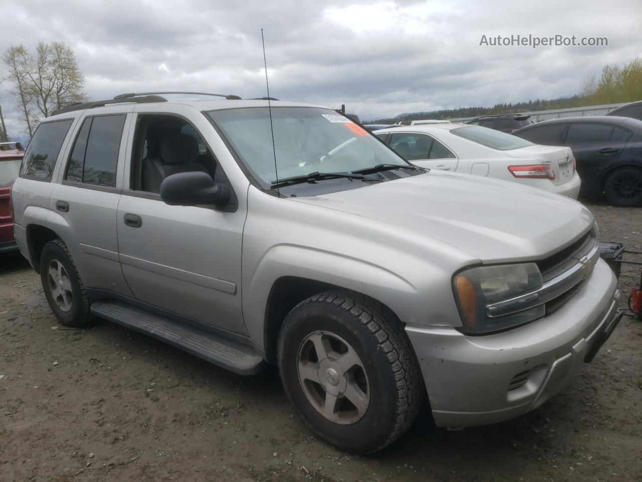 2006 Chevrolet Trailblazer Ls Silver vin: 1GNDT13S362258075