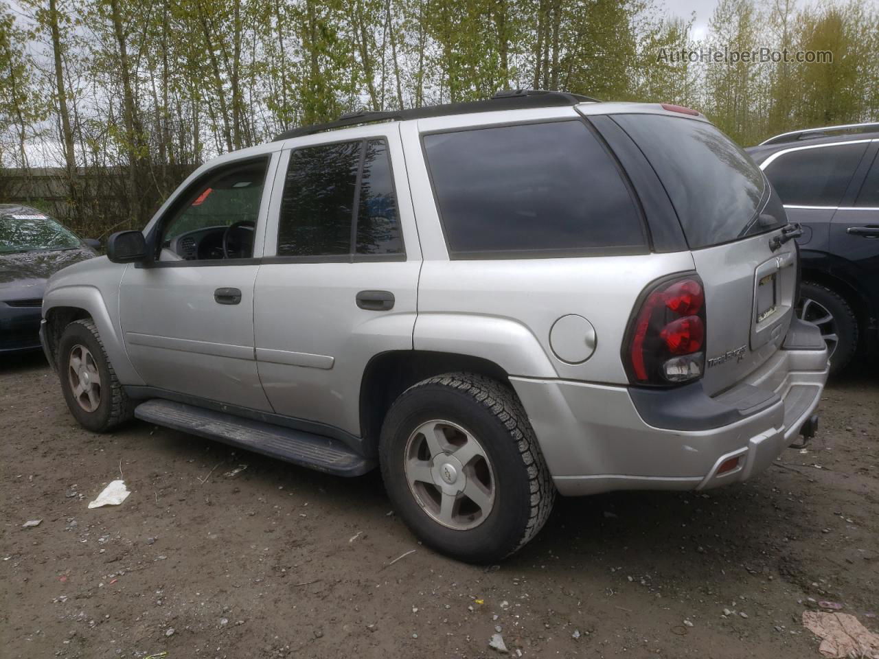 2006 Chevrolet Trailblazer Ls Silver vin: 1GNDT13S362258075