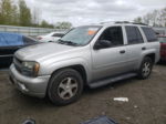 2006 Chevrolet Trailblazer Ls Silver vin: 1GNDT13S362258075