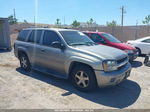 2006 Chevrolet Trailblazer Ls Gold vin: 1GNDT13S362311566