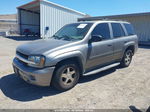 2006 Chevrolet Trailblazer Ls Gold vin: 1GNDT13S362311566