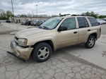 2006 Chevrolet Trailblazer Ls Beige vin: 1GNDT13S362351517