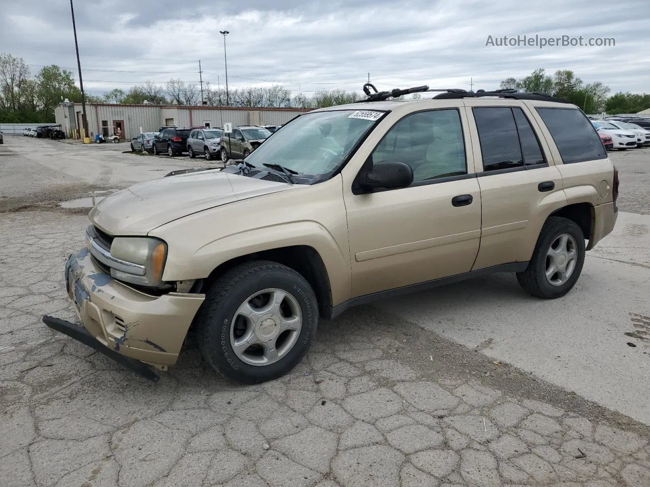 2006 Chevrolet Trailblazer Ls Бежевый vin: 1GNDT13S362351517