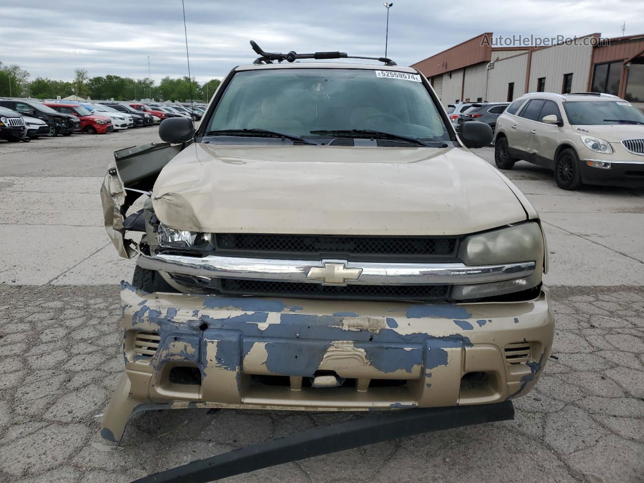 2006 Chevrolet Trailblazer Ls Бежевый vin: 1GNDT13S362351517