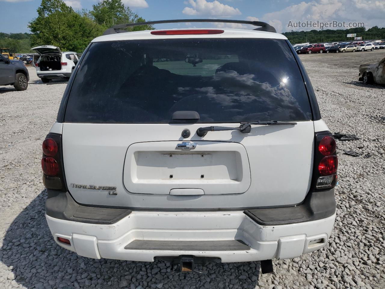 2006 Chevrolet Trailblazer Ls White vin: 1GNDT13S362358631