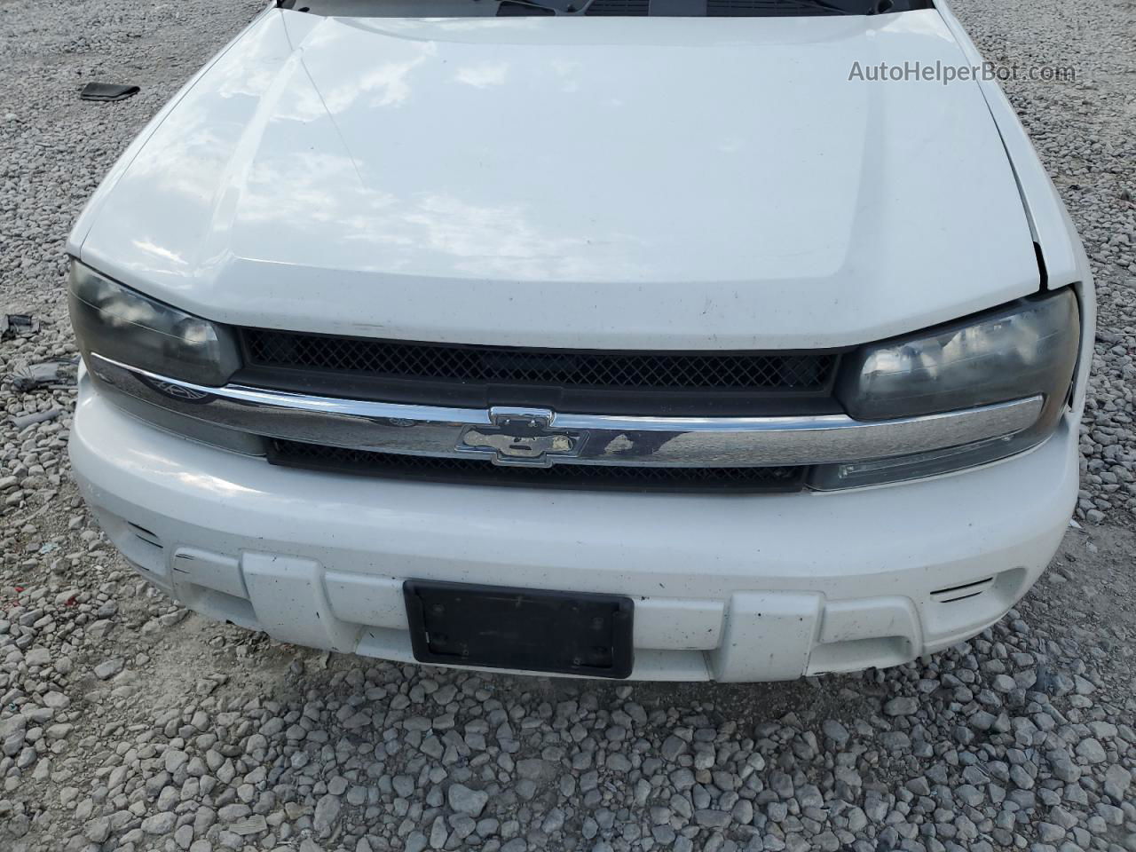 2006 Chevrolet Trailblazer Ls White vin: 1GNDT13S362358631