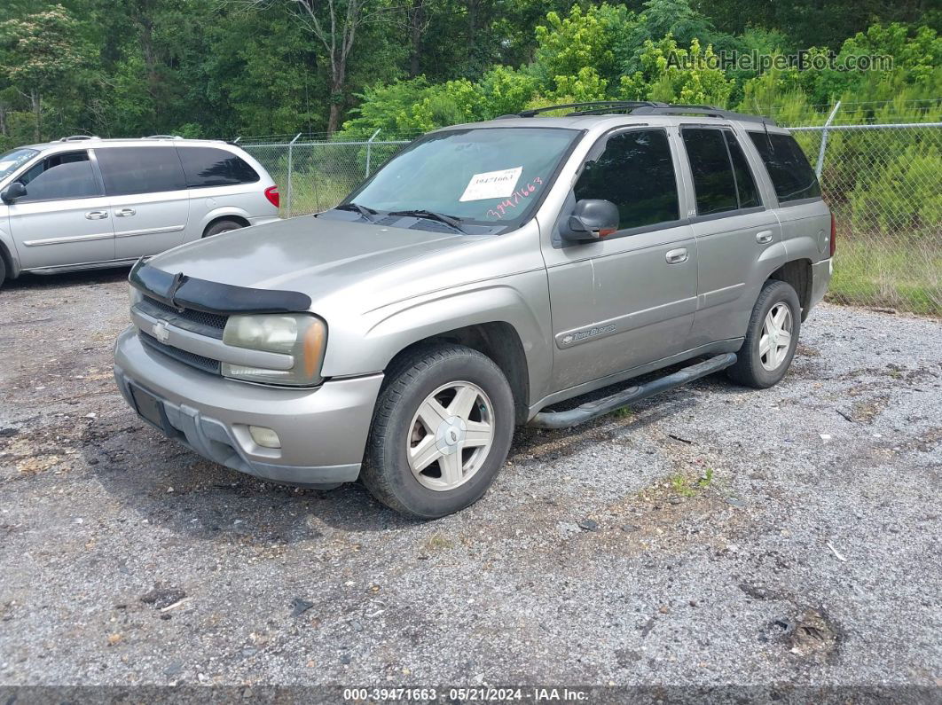 2002 Chevrolet Trailblazer Ltz Желто-коричневый vin: 1GNDT13S422173448