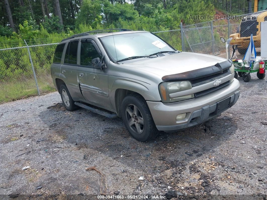 2002 Chevrolet Trailblazer Ltz Желто-коричневый vin: 1GNDT13S422173448