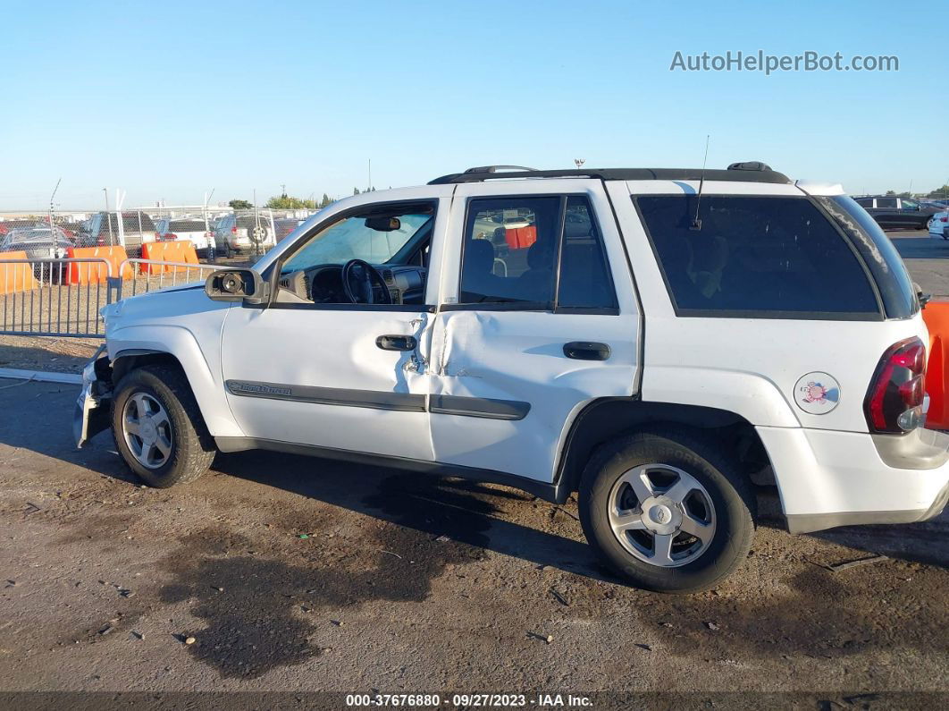 2002 Chevrolet Trailblazer Lt White vin: 1GNDT13S422194560