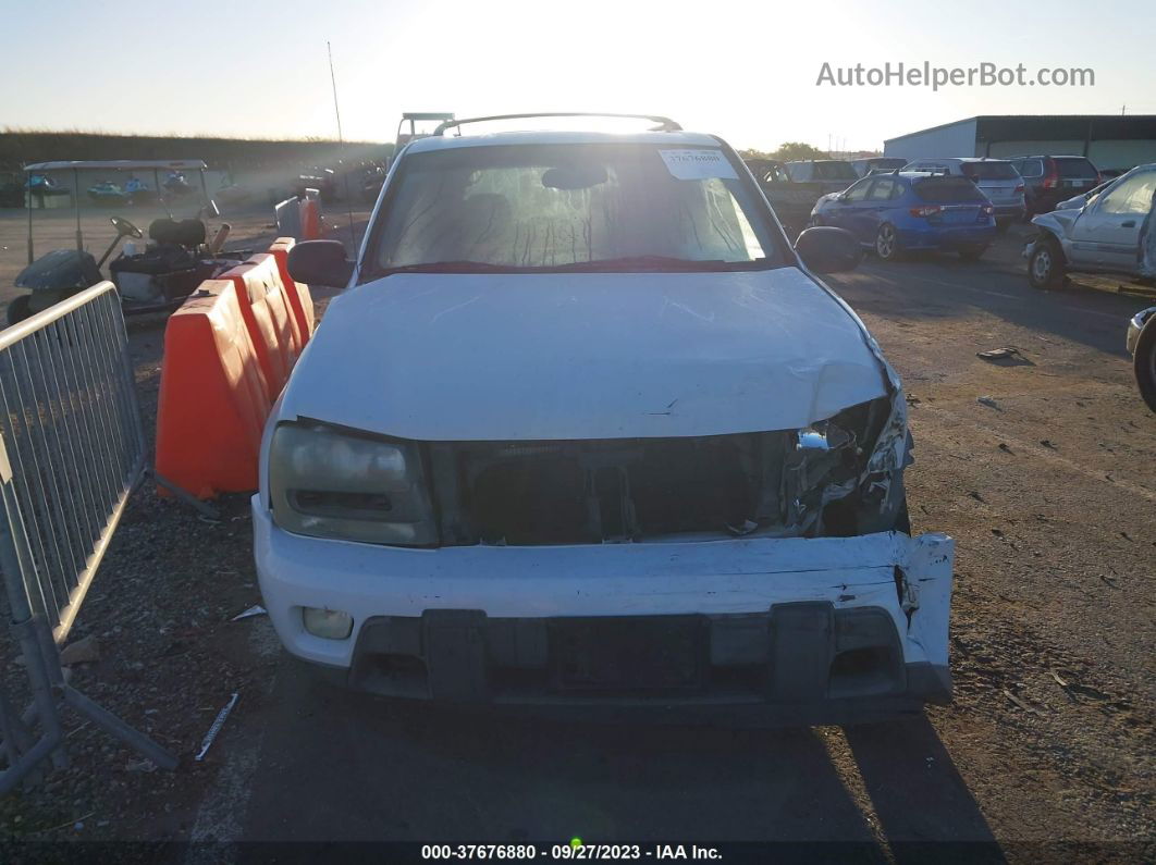 2002 Chevrolet Trailblazer Lt Белый vin: 1GNDT13S422194560