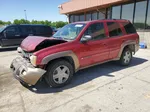 2002 Chevrolet Trailblazer  Two Tone vin: 1GNDT13S422224849