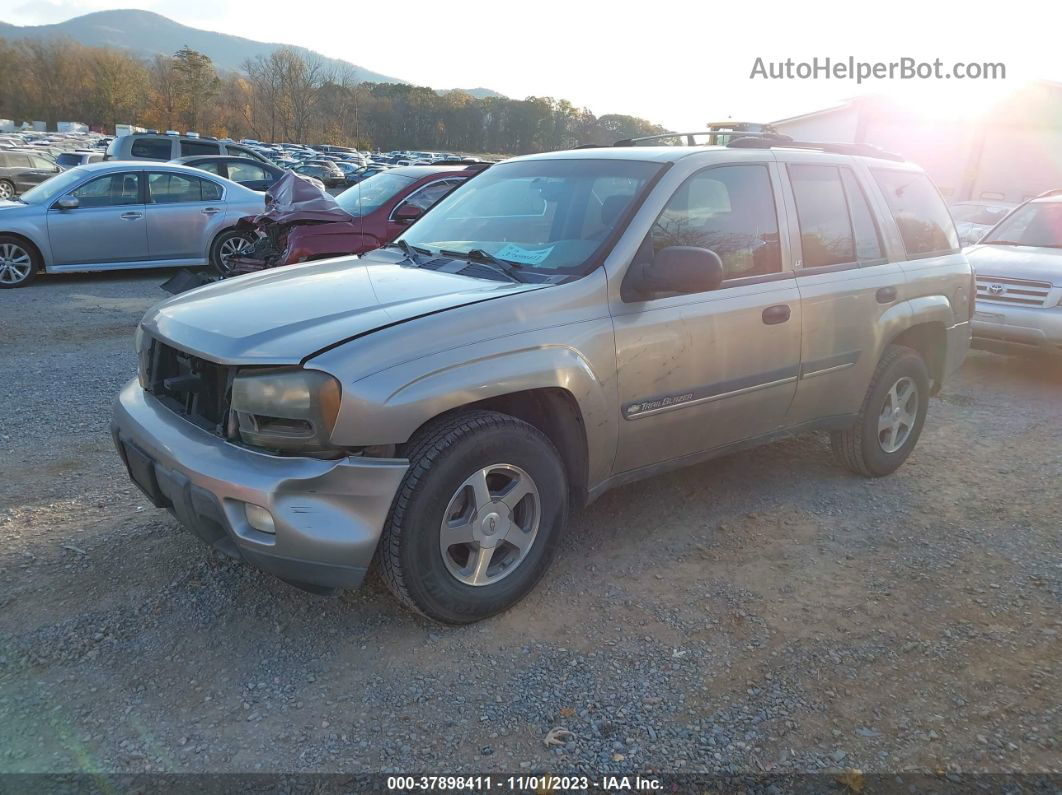 2002 Chevrolet Trailblazer Lt Gold vin: 1GNDT13S422268110