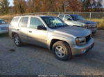 2002 Chevrolet Trailblazer Lt Золотой vin: 1GNDT13S422268110