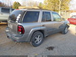 2002 Chevrolet Trailblazer Lt Gold vin: 1GNDT13S422268110