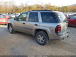 2002 Chevrolet Trailblazer Lt Gold vin: 1GNDT13S422268110