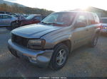 2002 Chevrolet Trailblazer Lt Gold vin: 1GNDT13S422268110