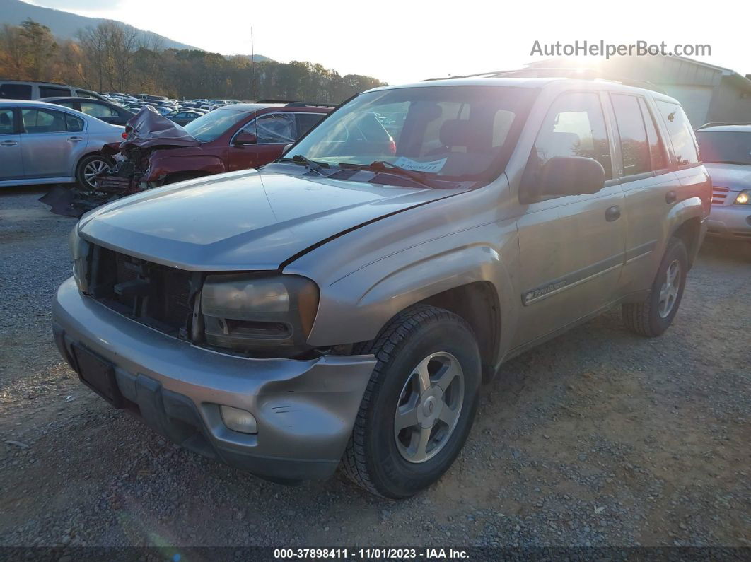 2002 Chevrolet Trailblazer Lt Золотой vin: 1GNDT13S422268110