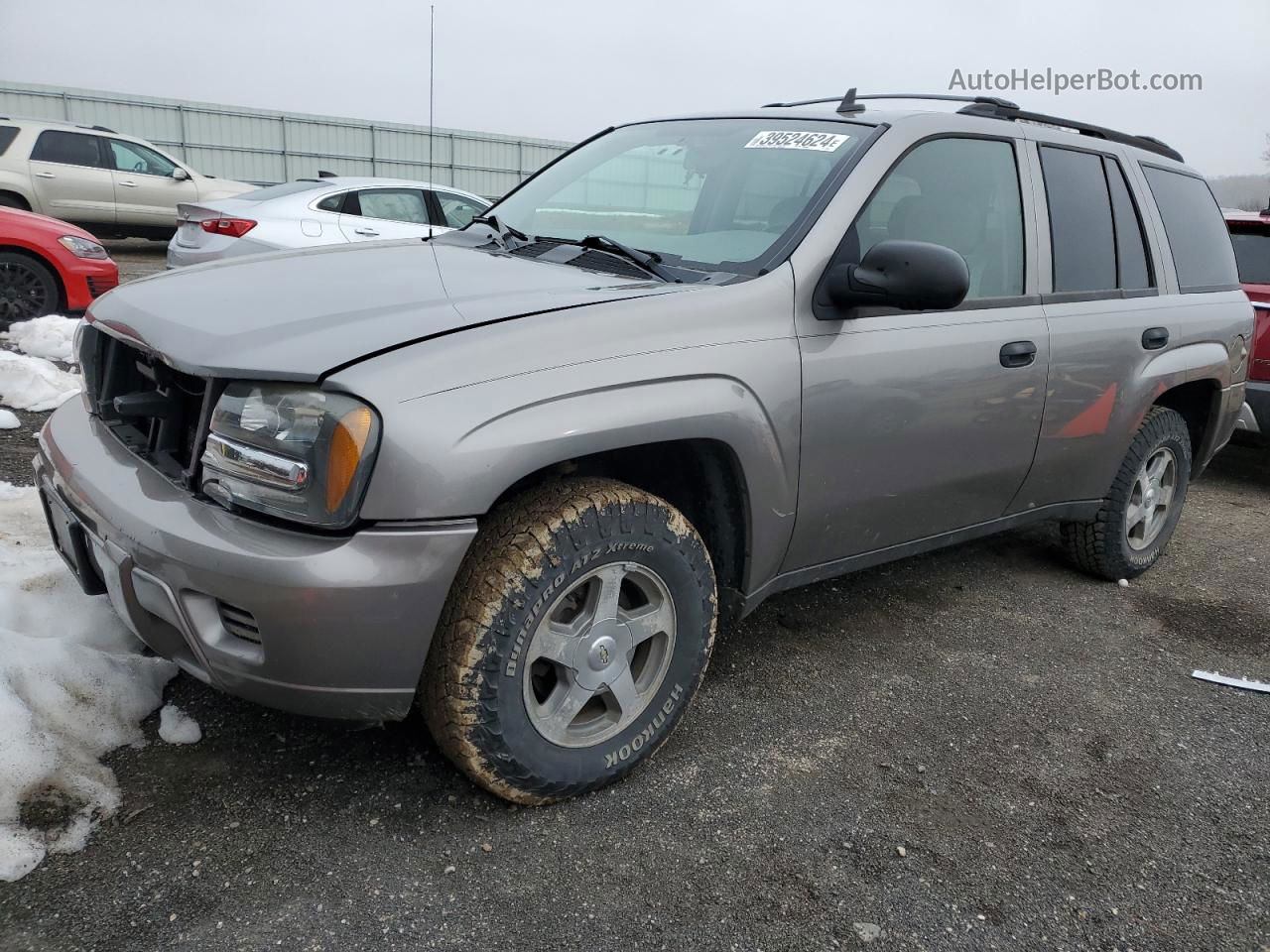 2006 Chevrolet Trailblazer Ls Silver vin: 1GNDT13S462129956