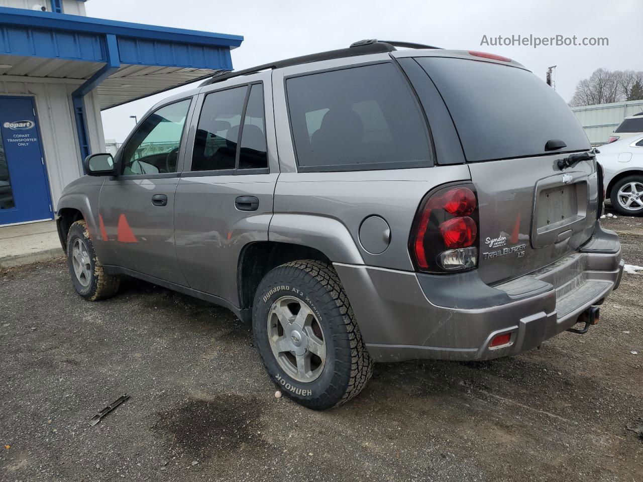 2006 Chevrolet Trailblazer Ls Silver vin: 1GNDT13S462129956