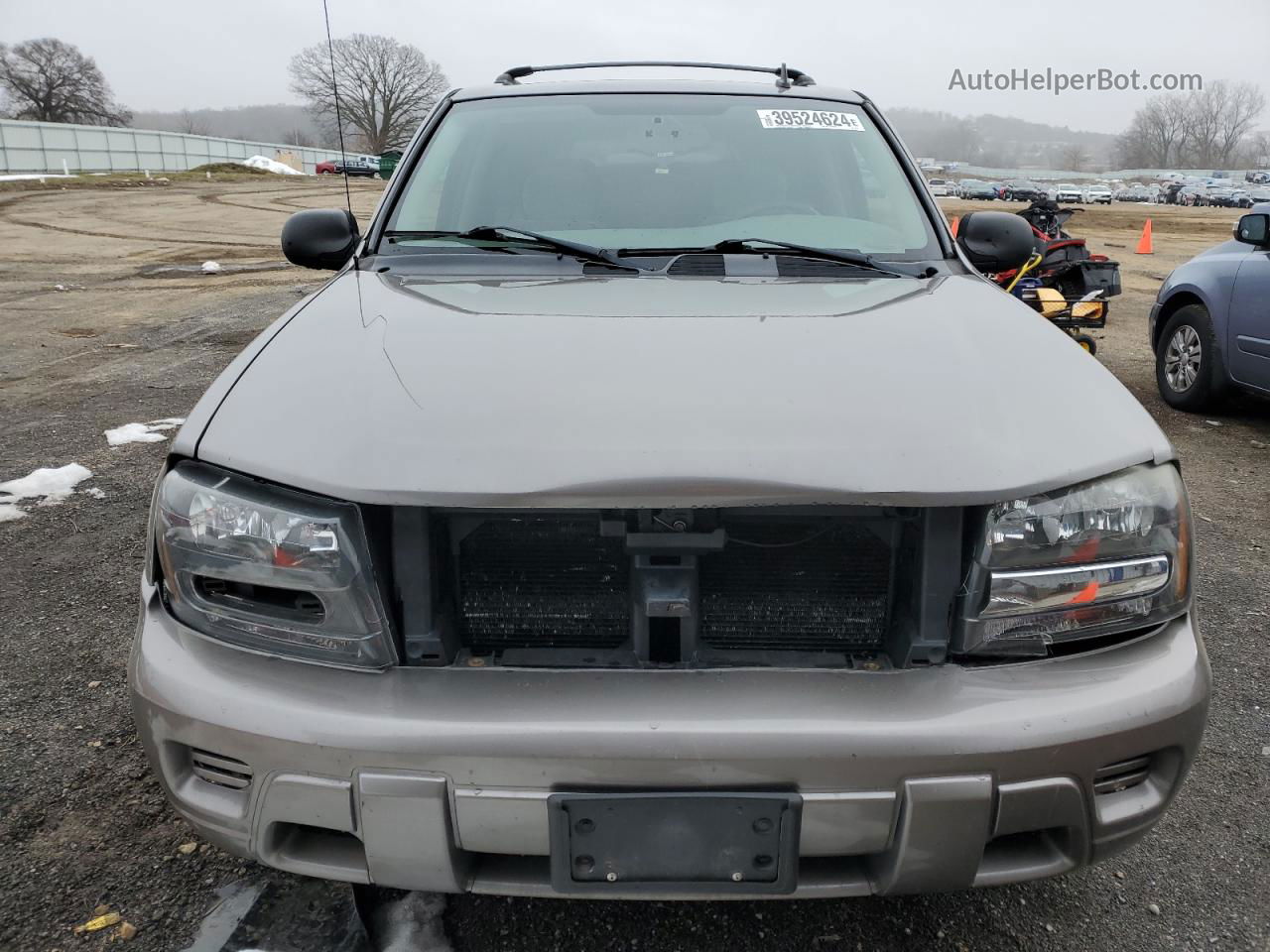 2006 Chevrolet Trailblazer Ls Silver vin: 1GNDT13S462129956