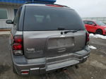 2006 Chevrolet Trailblazer Ls Silver vin: 1GNDT13S462129956