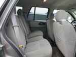 2006 Chevrolet Trailblazer Ls Silver vin: 1GNDT13S462129956