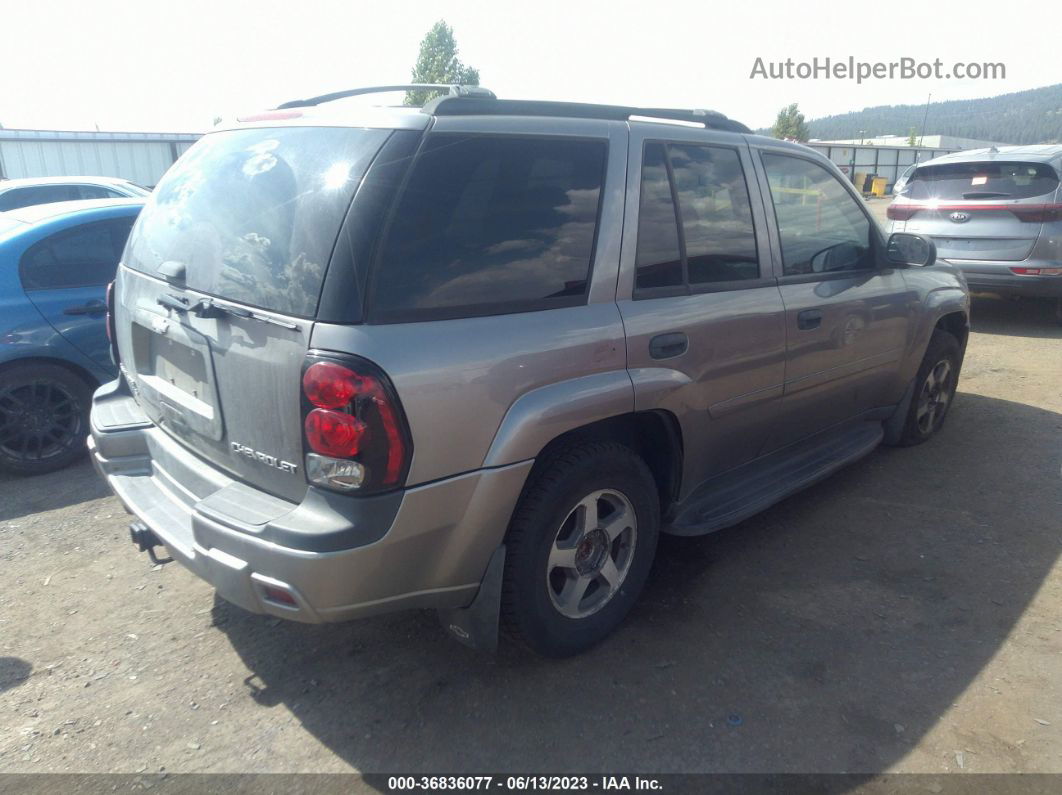 2006 Chevrolet Trailblazer Ls Silver vin: 1GNDT13S462160074