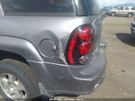 2006 Chevrolet Trailblazer Ls Silver vin: 1GNDT13S462160074