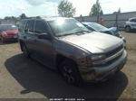 2006 Chevrolet Trailblazer Ls Silver vin: 1GNDT13S462160074