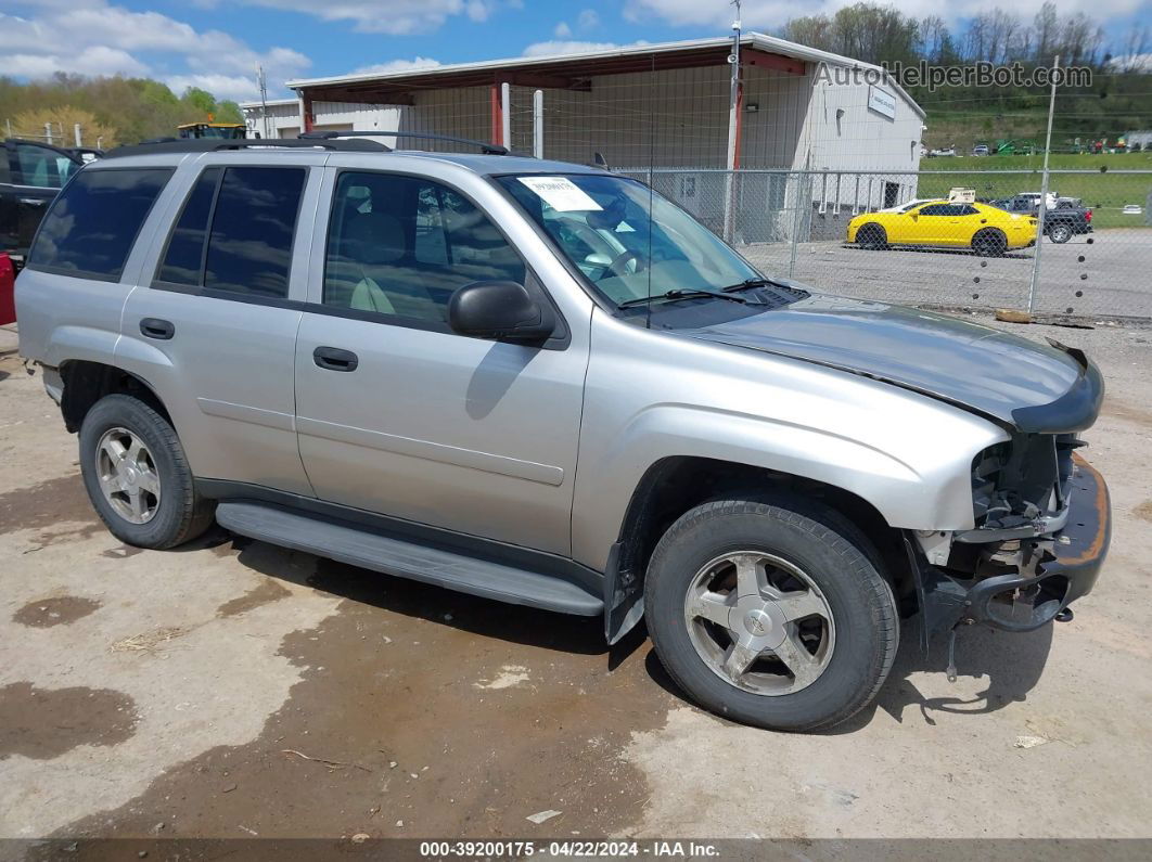 2006 Chevrolet Trailblazer Ls Серебряный vin: 1GNDT13S462229832