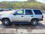 2006 Chevrolet Trailblazer Ls Silver vin: 1GNDT13S462229832