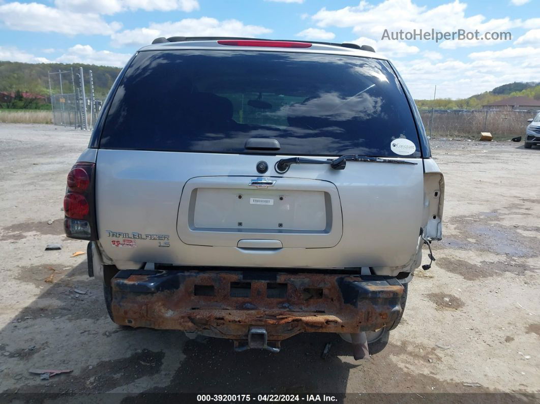 2006 Chevrolet Trailblazer Ls Silver vin: 1GNDT13S462229832