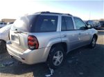 2006 Chevrolet Trailblazer Ls Silver vin: 1GNDT13S462350621