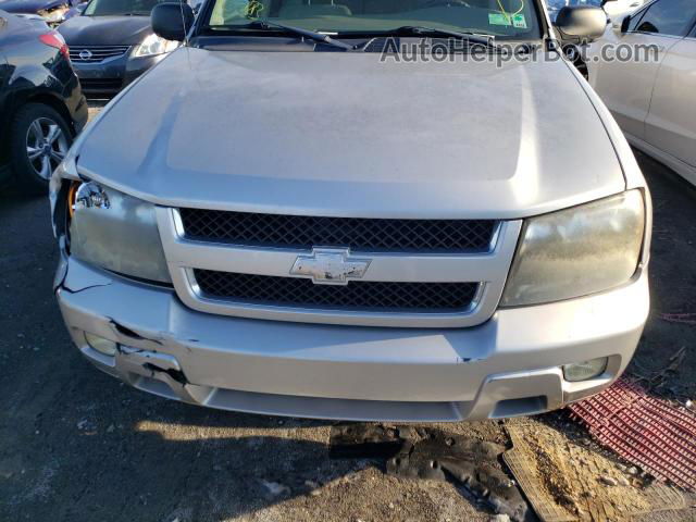 2006 Chevrolet Trailblazer Ls Silver vin: 1GNDT13S462350621