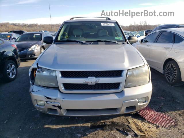 2006 Chevrolet Trailblazer Ls Silver vin: 1GNDT13S462350621