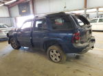 2002 Chevrolet Trailblazer  Синий vin: 1GNDT13S522136070