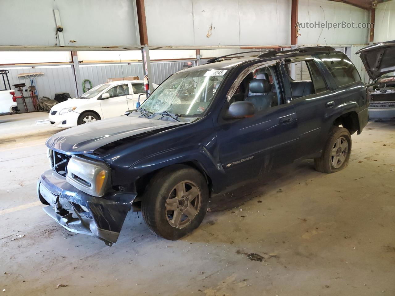 2002 Chevrolet Trailblazer  Синий vin: 1GNDT13S522136070