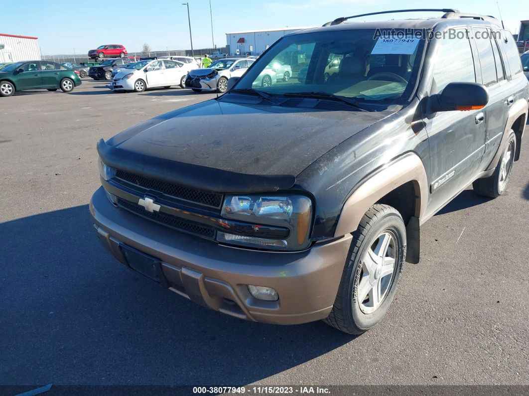 2002 Chevrolet Trailblazer Ltz Черный vin: 1GNDT13S522329190