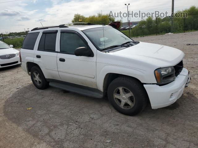 2006 Chevrolet Trailblazer Ls Белый vin: 1GNDT13S562157135