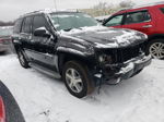 2006 Chevrolet Trailblazer Ls Черный vin: 1GNDT13S562159600