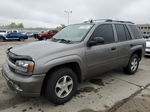 2006 Chevrolet Trailblazer Ls Brown vin: 1GNDT13S562171875