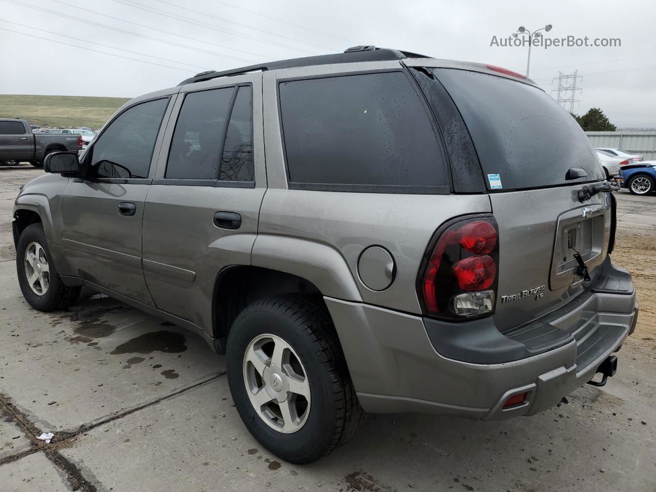 2006 Chevrolet Trailblazer Ls Brown vin: 1GNDT13S562171875