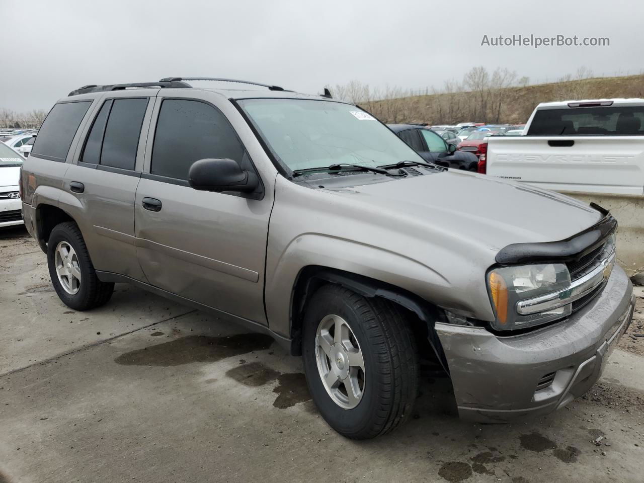 2006 Chevrolet Trailblazer Ls Brown vin: 1GNDT13S562171875